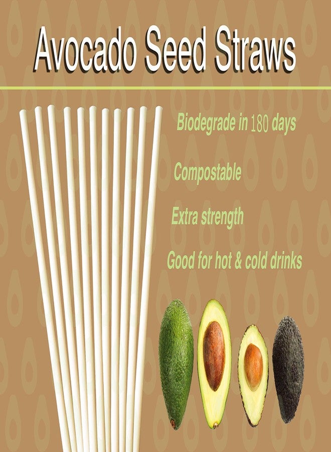 Ecoware Avocado Seed Straws - Extra Strength 100% biodegradable Straws - 50 count, 8.26" unwrapped - Image 4